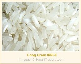 IRRI 6 Best Pakistani  Rice