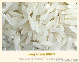 Long Grain IRRI-9 White Rice