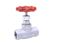 S. S. Threaded End Globe Valve