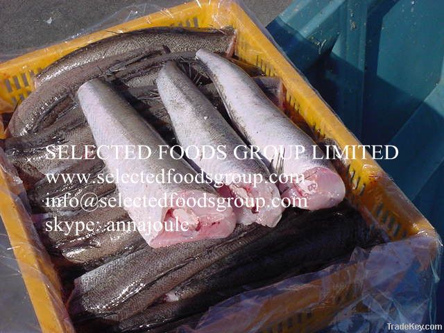 Pacific Cod Fillets
