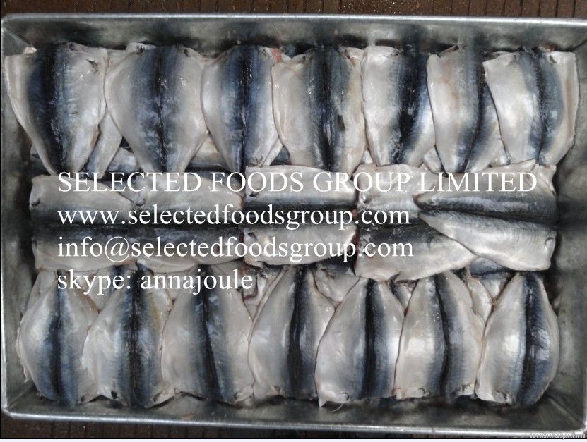 Frozen Pacific Mackerel 