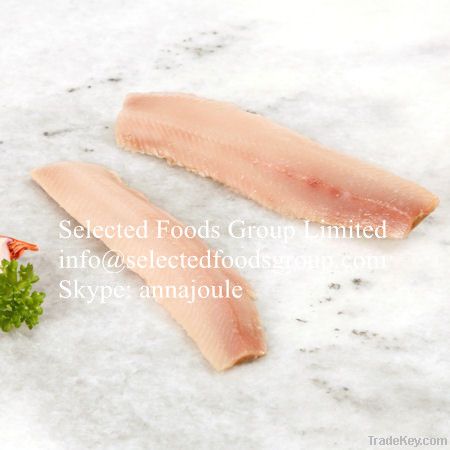 Frozen Herring Fillet