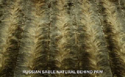 SABLE FUR PLATES