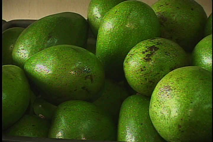 Hass avocados (Aguacate)