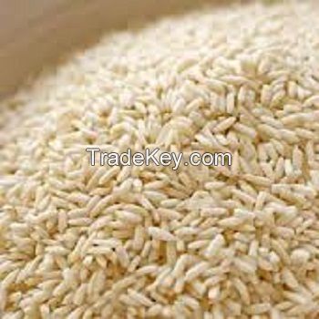 Indian Basmati and Non-Basmati Rice