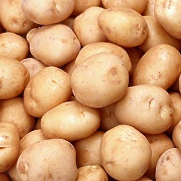 Indian Potato