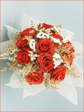Bridal wreaths A0A1