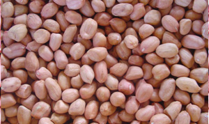 Peanut kernels