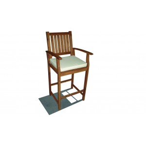 Bar Chair with Cushion