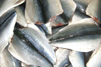 mackerel flaps