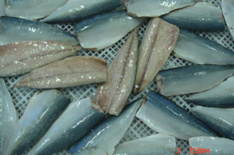mackerel fillets
