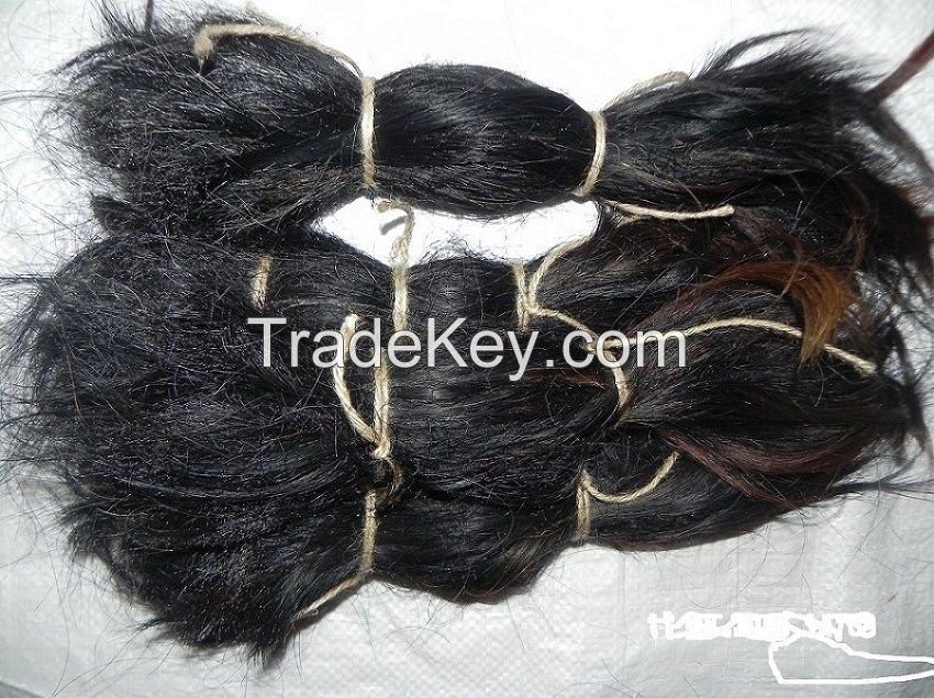 Cattle/Cow Tail Hair