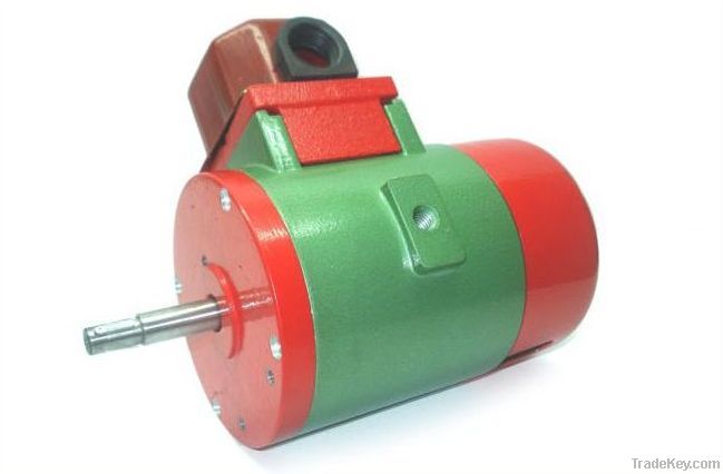 Universal Motor