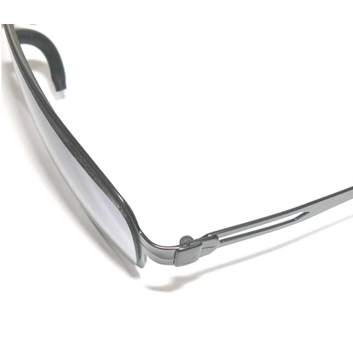 Titanium Sunglasses