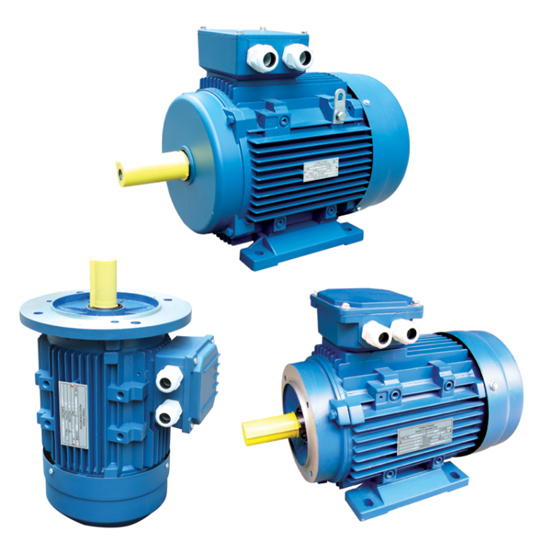 Ms Series Three Phase Induction Motor with Aluminium Housing