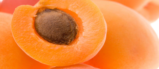 Turkish Apricot