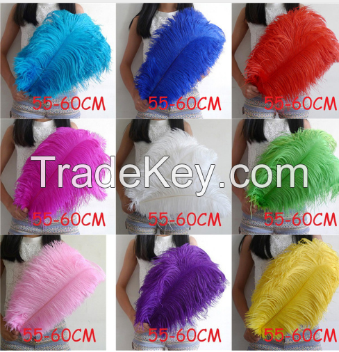 OSTRICH FEATHERS, OSTRICH EGGS ,LIVE STOCK PRODUCTS, COWS ,GOATS