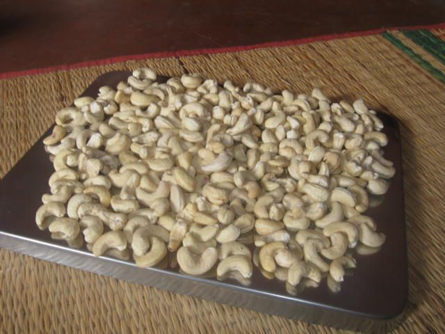 cashew nut