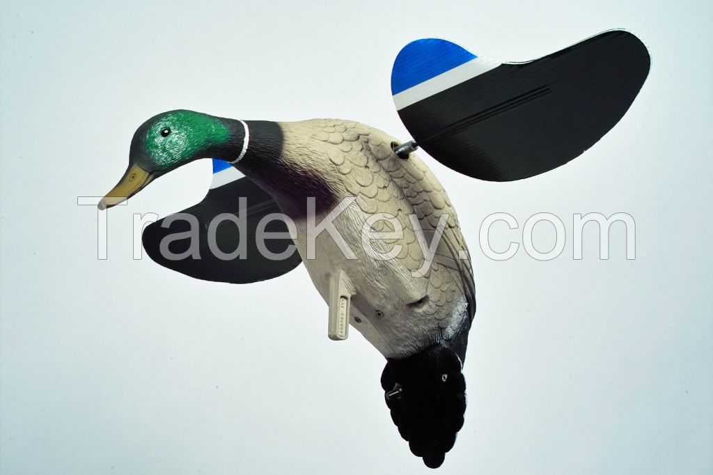 mallard duck hunting Mojo Motorized Flying Duck Decoys Remote Controled Motion Ducks