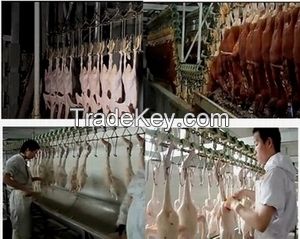 Full Halal Chicken Slaughter machine Production Line