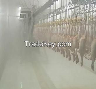 Halal Chicken Slaughter machine Production Line