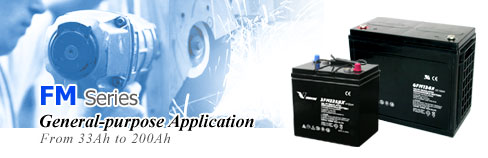 Sealed lead acid AGM battery FM series