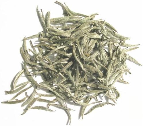 white tea importers,white tea buyers,white tea importer,buy white tea,white tea buyer,import white tea,