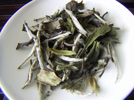 white tea importers,white tea buyers,white tea importer,buy white tea,white tea buyer,import white tea,