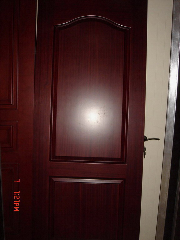 panel door