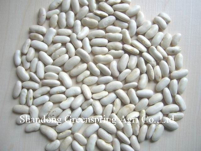 White kidney beans