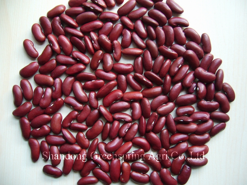 Red kidney beans