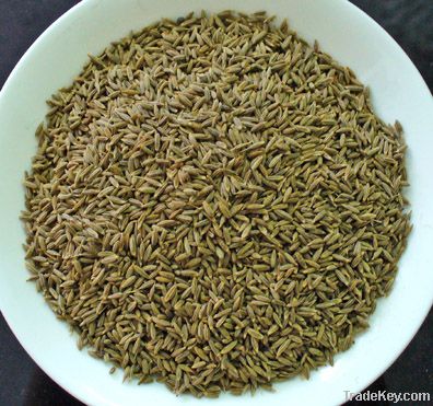 cumin seeds