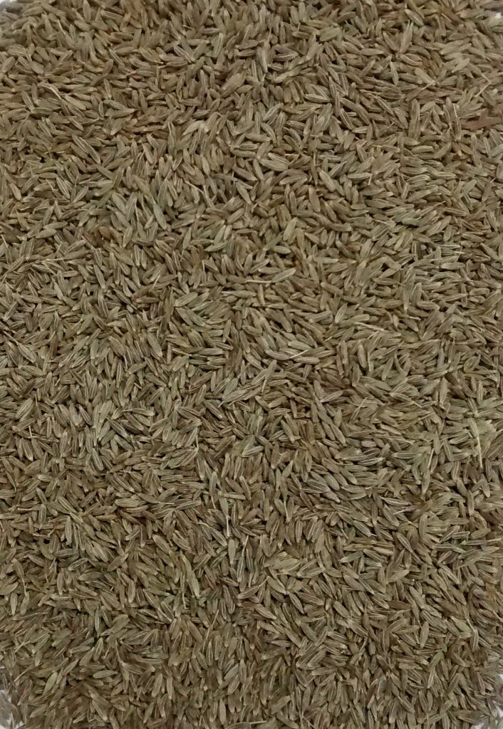 EUROPEAN CUMIN SEEDS