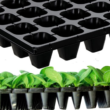 propagation tray