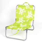 Beach Chair (RJ-008)