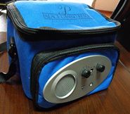 Cooler Bag (RJ-010)