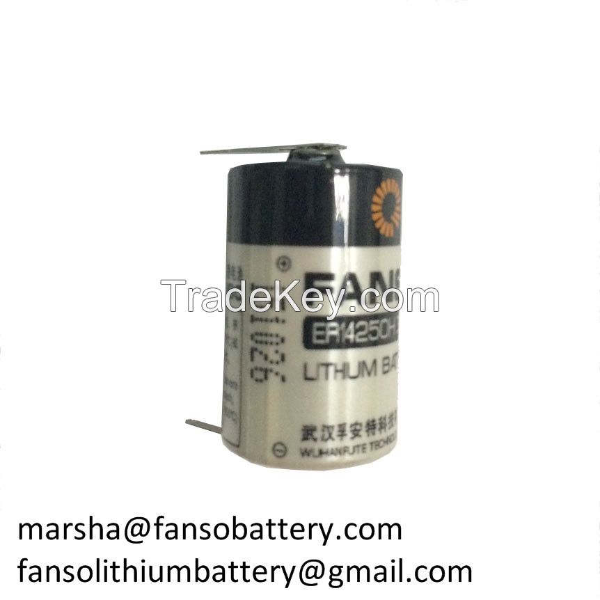 3.6v lithium battery