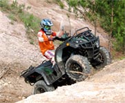 Japan Brand 300cc 4X4 CVT EEC ATV