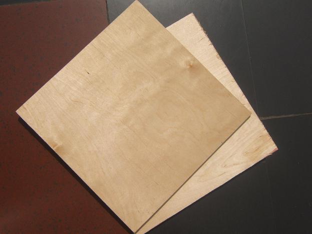 sell  poplar/birch  plywood