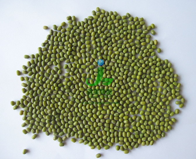 green mung bean