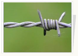 Hot Dipped Galvanized Barbed Wire