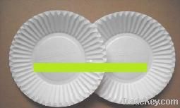 paper food plate
