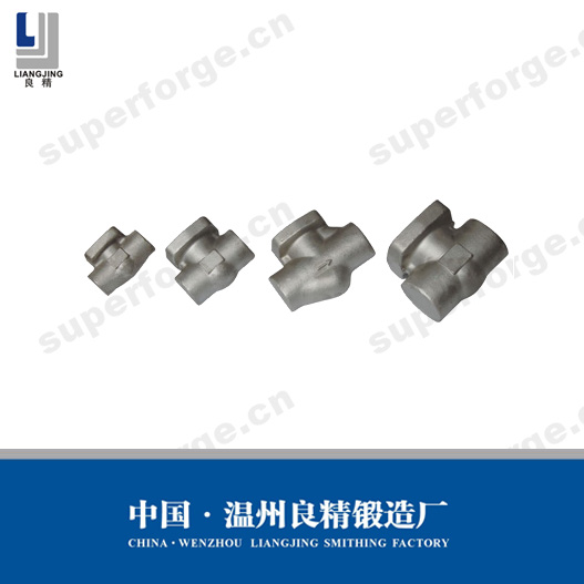 Valve Forging Parts