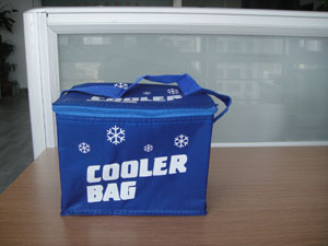 LJB002 Cooler bag