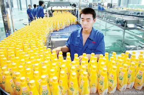 complete fruit juice production line