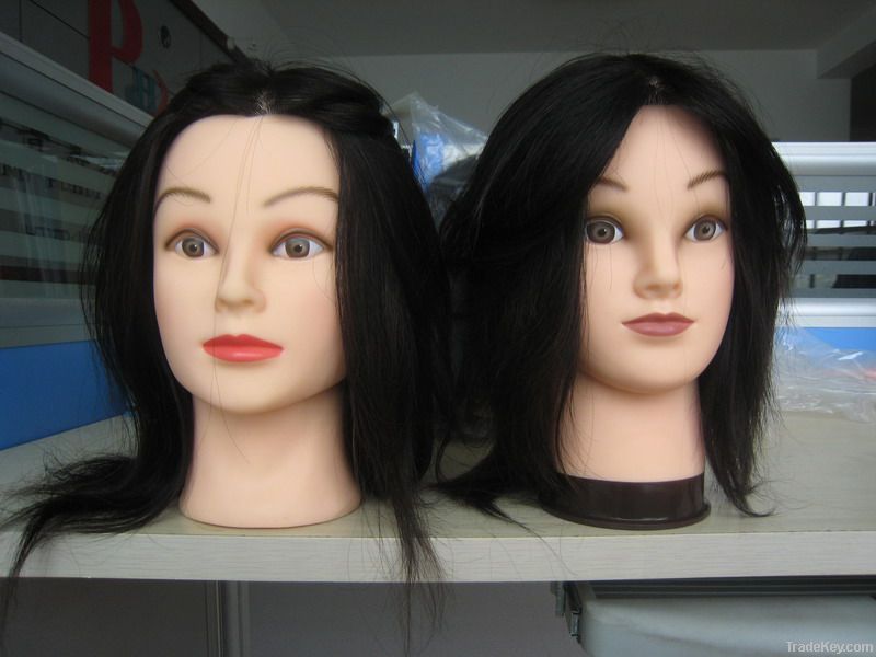 100% human hair mannequin/training head with hair exported to korea