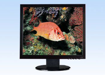 Sell 19" lcd monitor