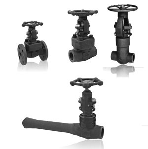 forged steel valve