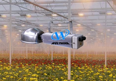 1000W, 600W, 400W, 250W HID electronic ballast for horticulture lighting