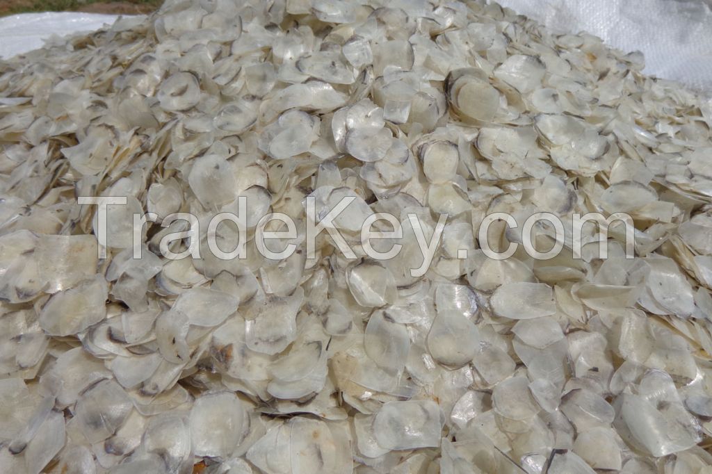 Sun Dry fish Scale